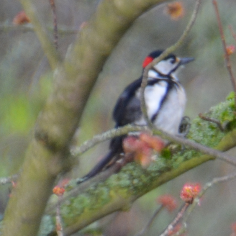 06-07-SchwarzWeissRot